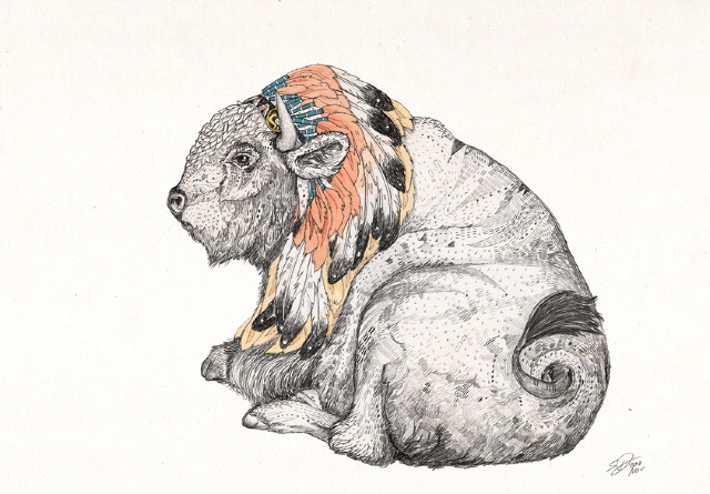 art-bison-illustration-white-Favim.com-328600.jpg