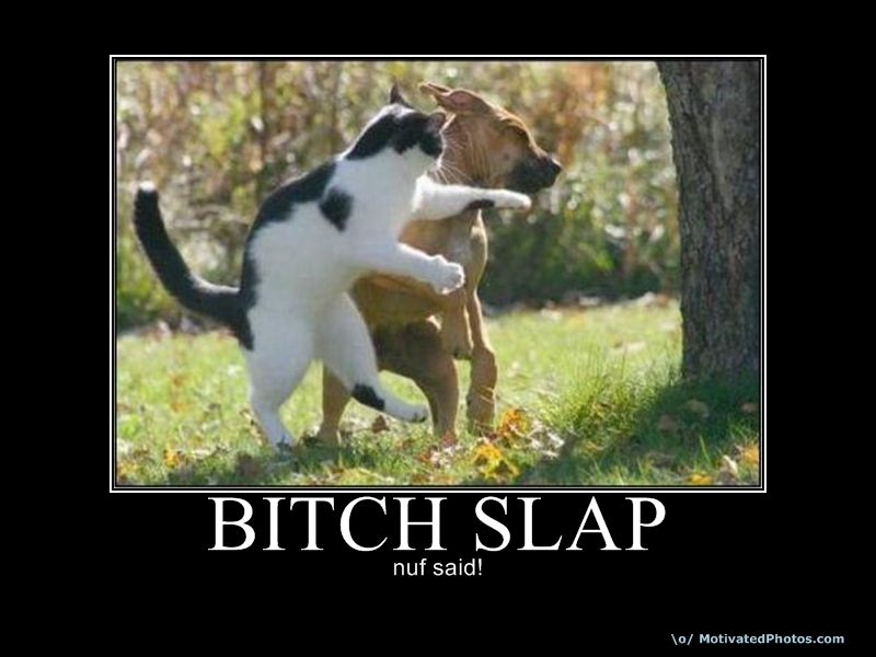 bitchslap.jpg