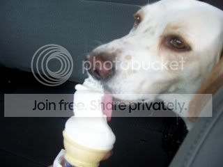 icecream.jpg
