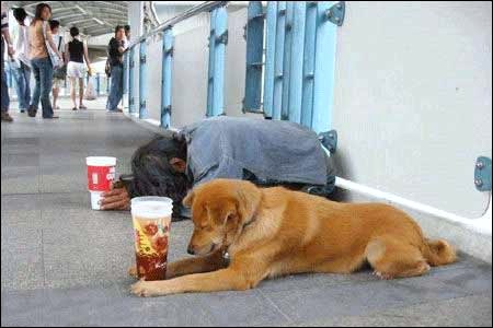 Panhandler6_187.jpg