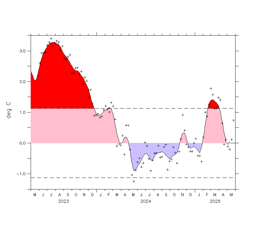 nino12_short.gif