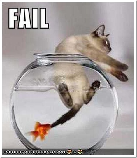 funny_cat_fail221.jpg
