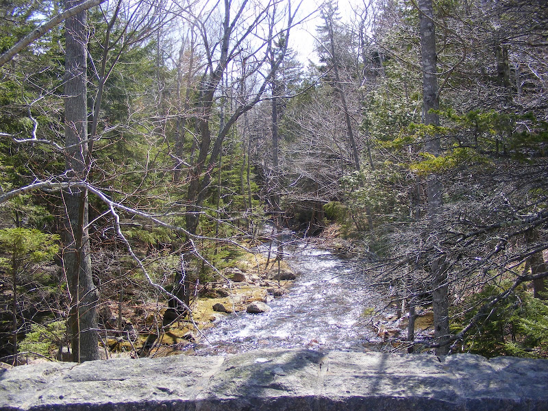 DSCF0265.jpg