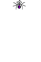 Spider.gif
