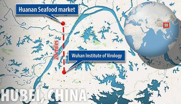 The-Wuhan-National-Biosafety-Laboratory-is-located-about-20-miles-away-from-the-Huanan-Seafood-Market-.jpg