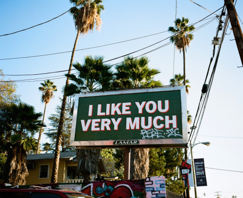 tumblr_nhroddasVY1qcuuqlo1_500.jpg
