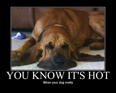 Melting-Dog.png