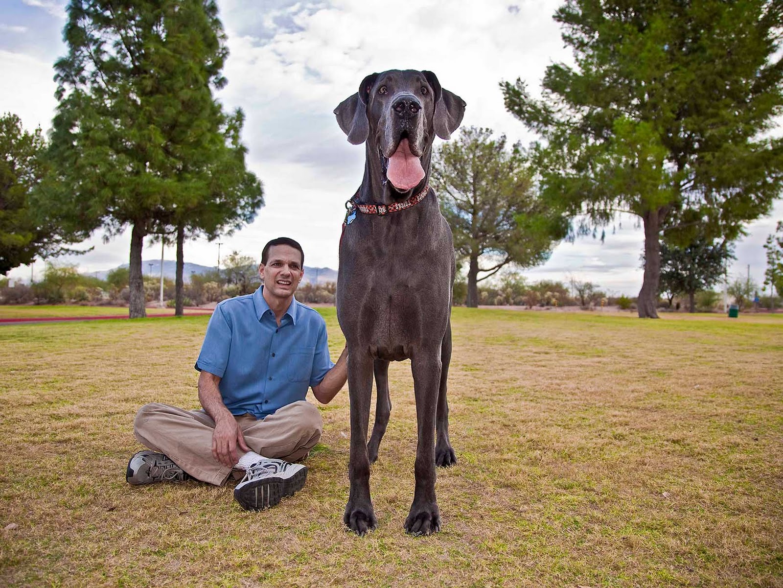 giant+george.jpg