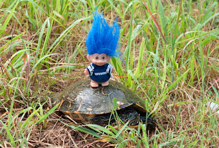 Rt-66-Turtle.jpg