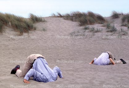 head-in-the-sand.jpg