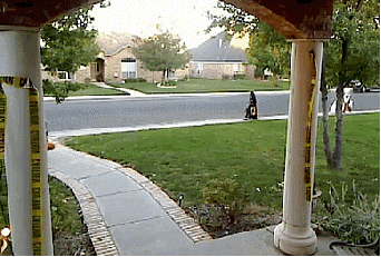 ptpar.gif