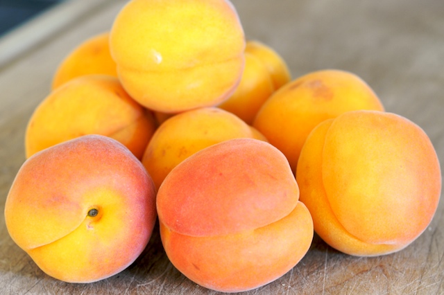Apricot.jpg