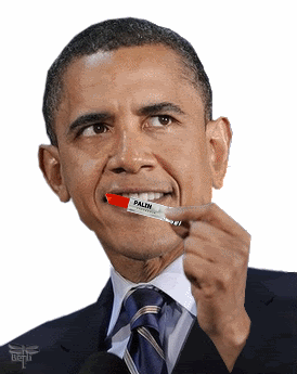 LipstickPigObama.gif