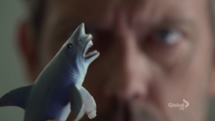 house-shark1-425x240.png