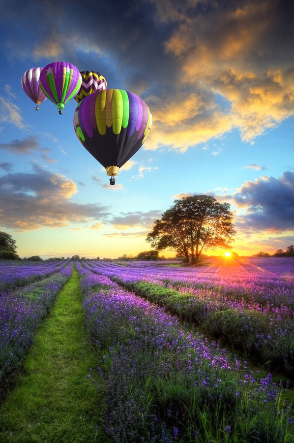 colorfulnature-6.jpg