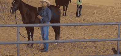 202.gif