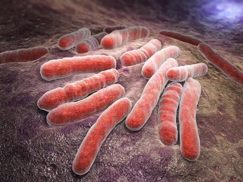 White-House-releases-plan-to-combat-multidrug-resistant-TB.jpg