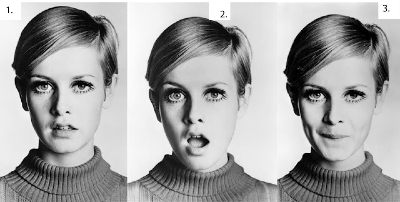 twiggy.jpg