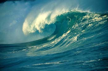 tsunami1-0029.jpg