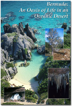 bermuda.jpg
