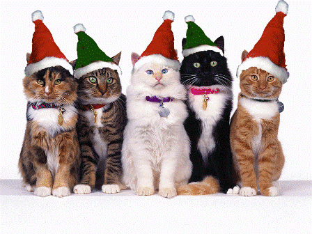 5_Xmas_cats_nodding.gif