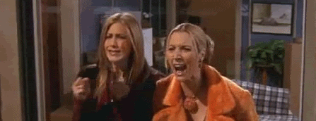 vrt11fjpg.gif