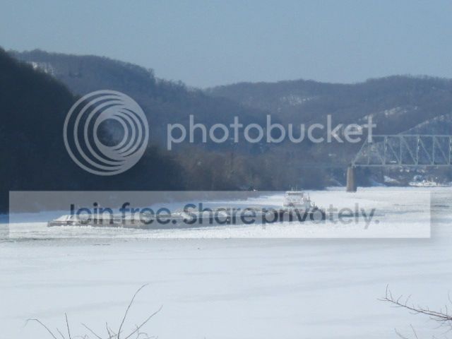 IMG_1546.jpg