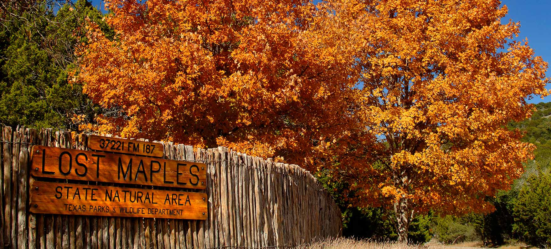 p-LMSNA_Entrance.jpg