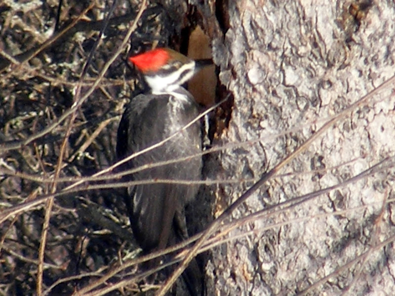 DSCF0405.JPG