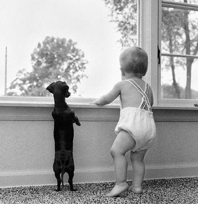 baby-blackampwhite-cute-dog-window-Favim.com-276266.jpg