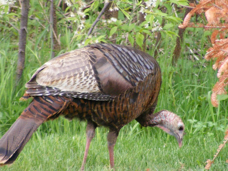 DSCF1054.jpg