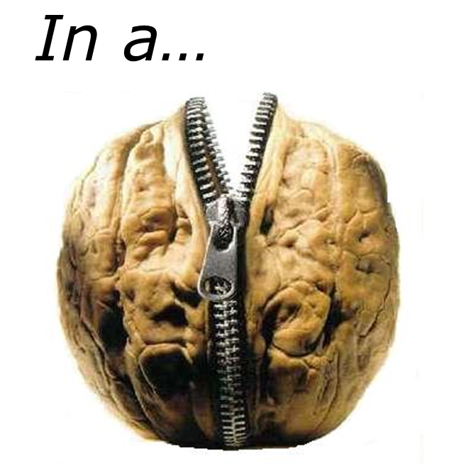 in-a-nutshell1.png
