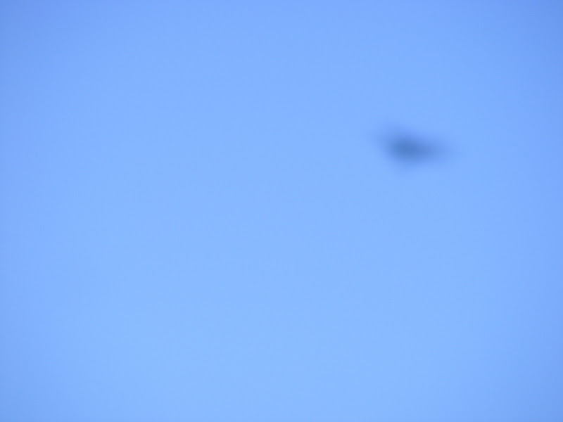 DSCF0649.JPG