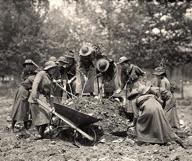 girlscout1917.jpg