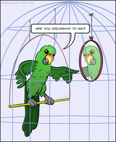 parrot-cage-fight.jpg