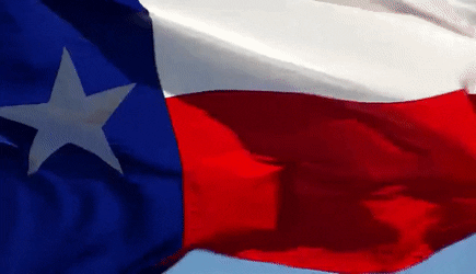 wavingtexasflag.gif