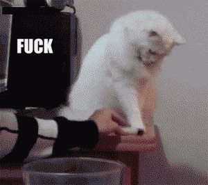 fthiscat.gif