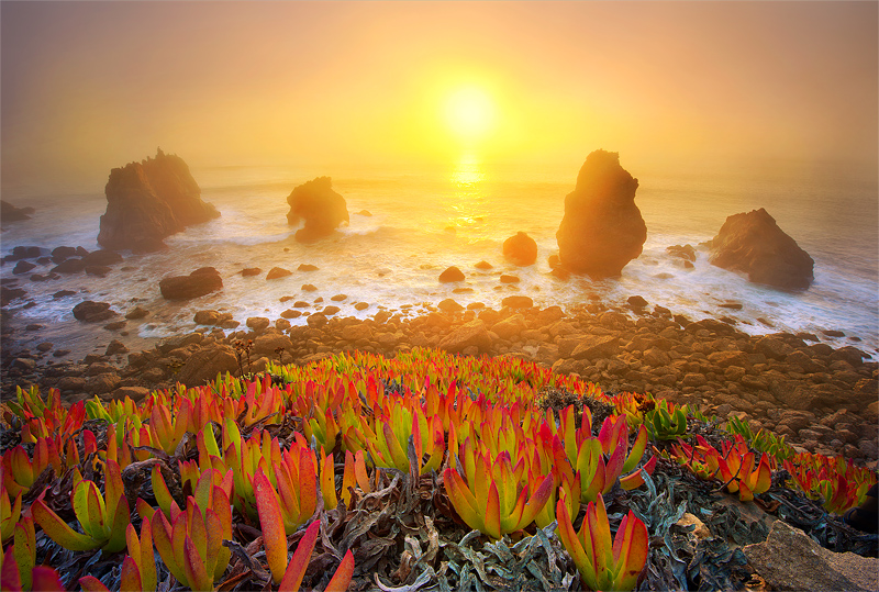 the_congregation_by_colinhsillerud-d73v5we.jpg