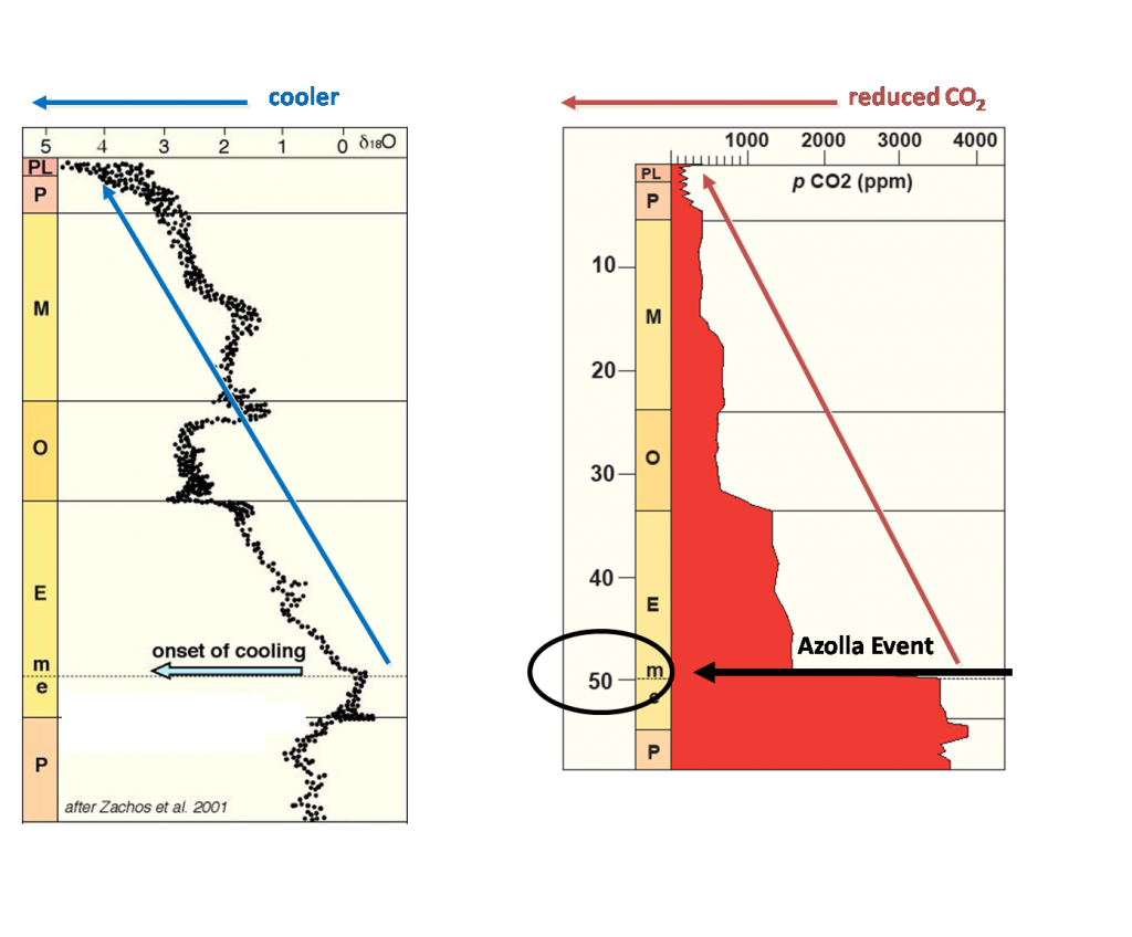 cenozoic-cooling2-1024x848.png