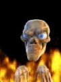skull_1.gif