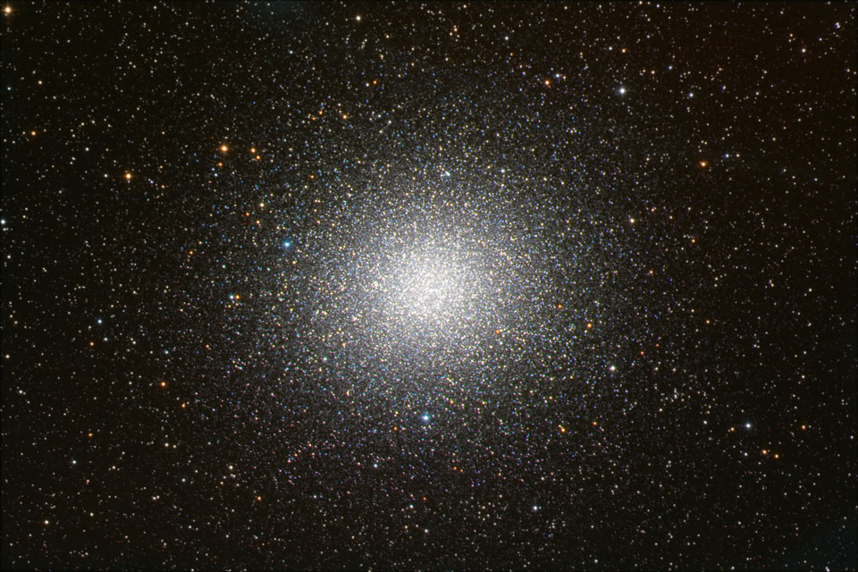 omegacen_polleri_960.jpg