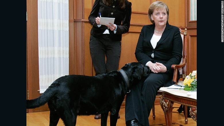 160112114220-merkel-putin-dog-2-exlarge-169.jpg