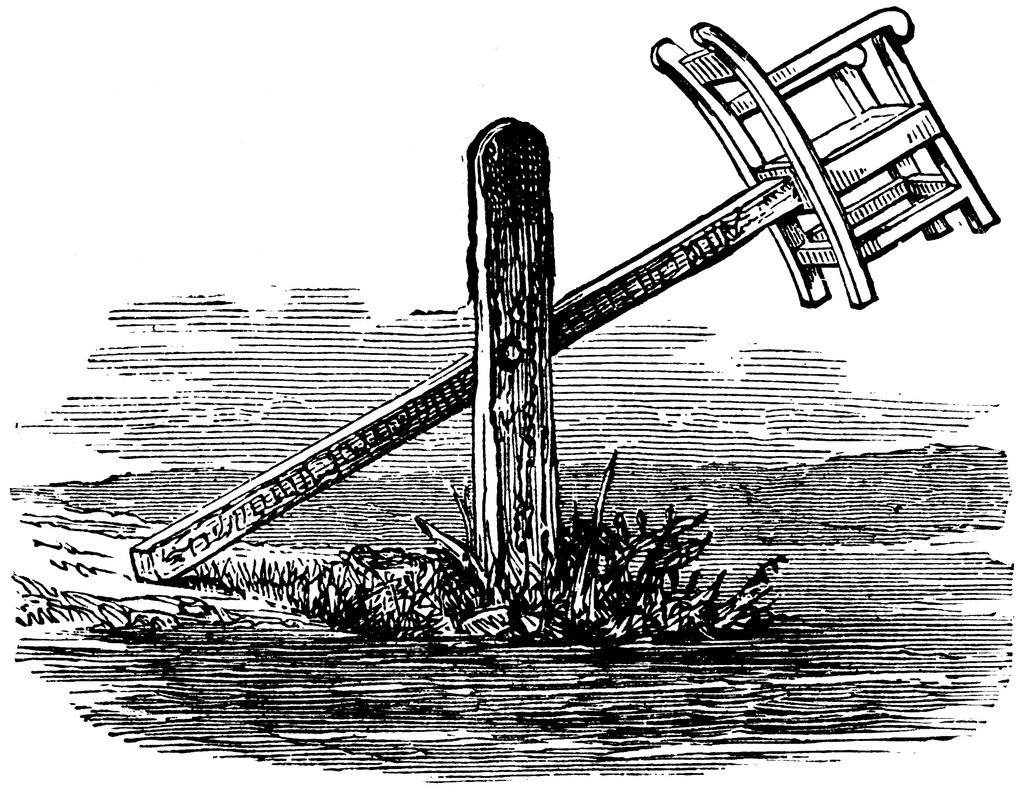 60874_duck_stool_lg.gif