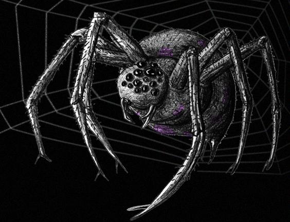 shelobspider.jpg