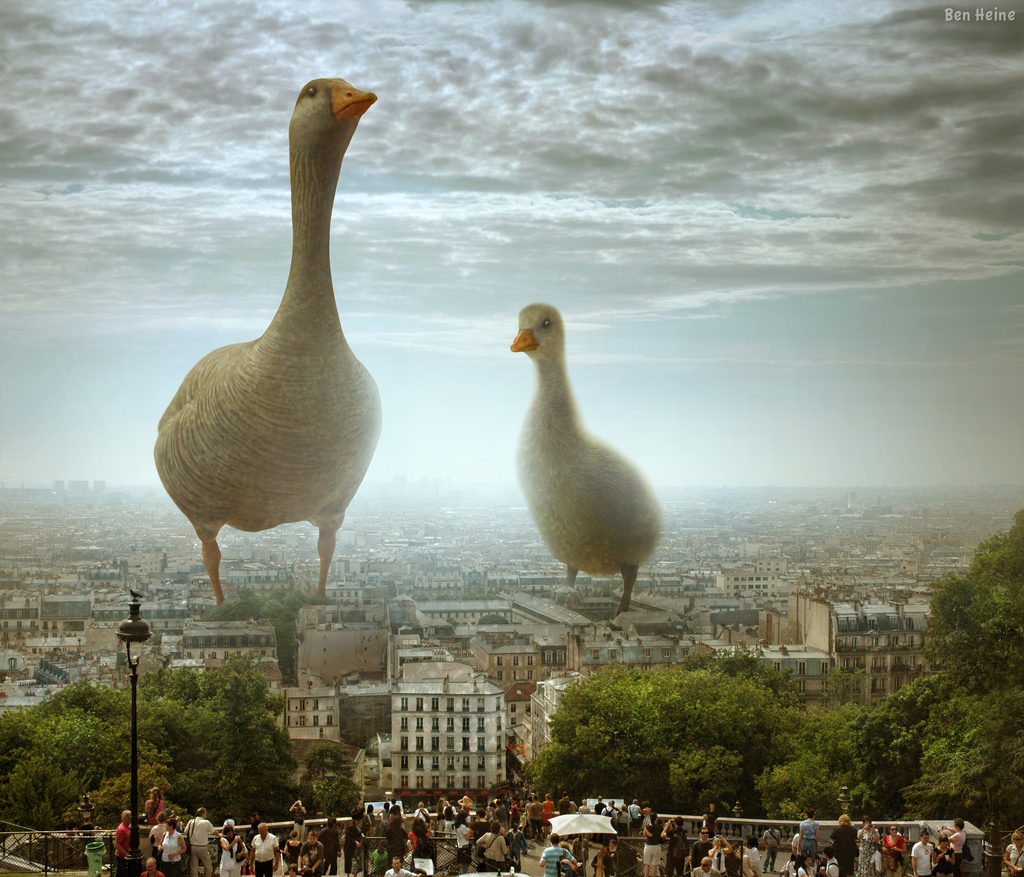 Surreal-Pictures-16.jpg