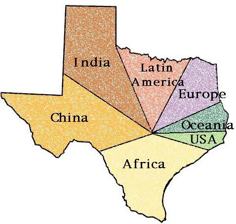 TexasSplit.JPG