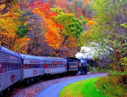 beautiful-colors-green-nature-photography-train-Favim.com-53262.jpg