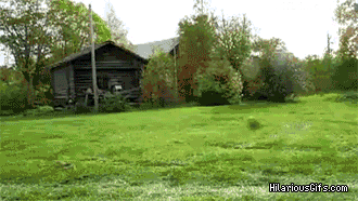 gYzIT.gif