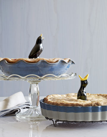 54f0d7851af34_-_pie-birds-birds-in-pies-1110-de.jpg