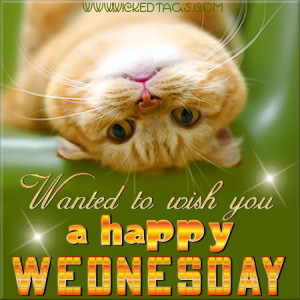 725733046-wednesday9_2365222.jpg